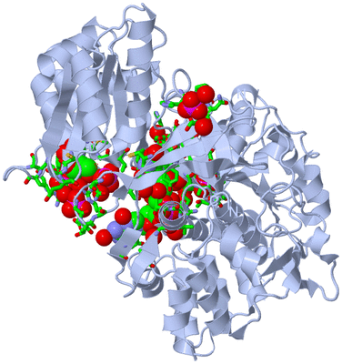 Image Biol. Unit 1 - sites