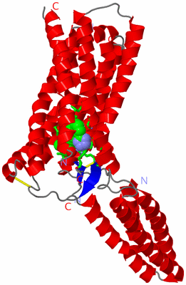 Image Asym./Biol. Unit - sites