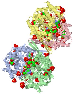 Image Asym./Biol. Unit