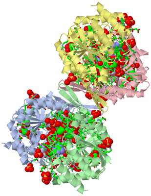 Image Asym./Biol. Unit - sites