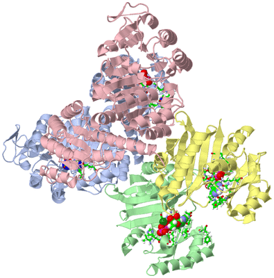 Image Asym./Biol. Unit - sites