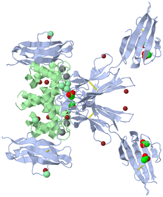 Image Biological Unit 1