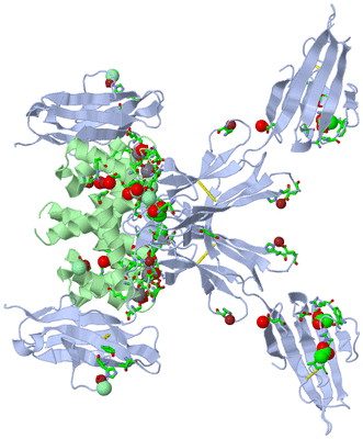 Image Biol. Unit 1 - sites