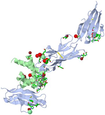 Image Asym. Unit - sites