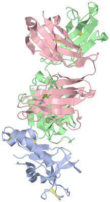 Image Biological Unit 2