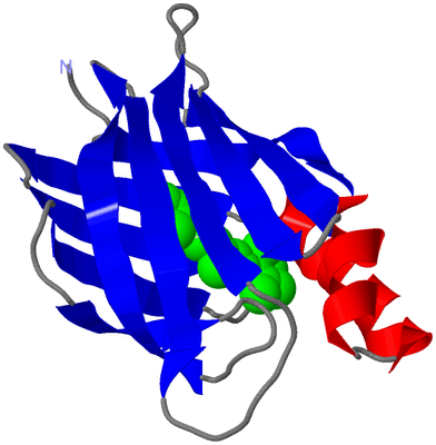 Image Asymmetric Unit