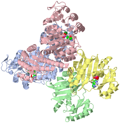 Image Asym./Biol. Unit