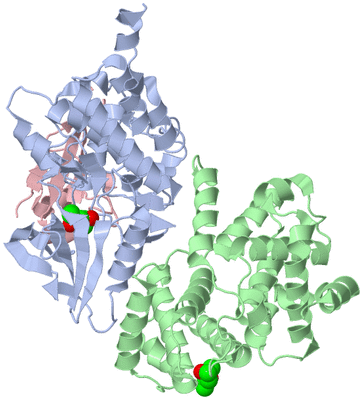 Image Asym./Biol. Unit