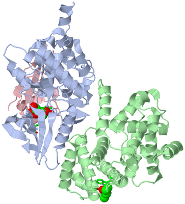 Image Asym./Biol. Unit - sites