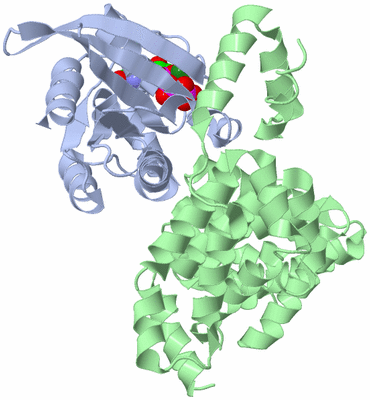 Image Asym./Biol. Unit