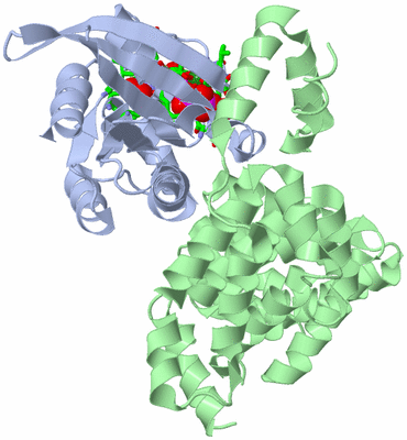 Image Asym./Biol. Unit - sites