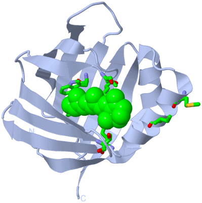 Image Biol. Unit 1 - sites