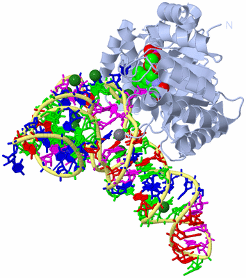 Image Biological Unit 1