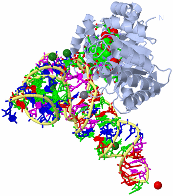 Image Biol. Unit 1 - sites