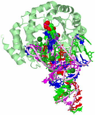 Image Biological Unit 2