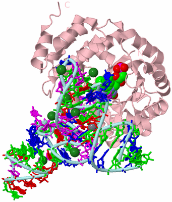 Image Biological Unit 3