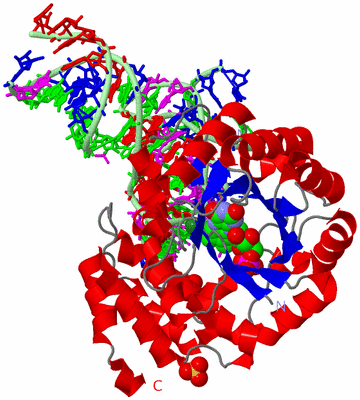 Image Asym./Biol. Unit