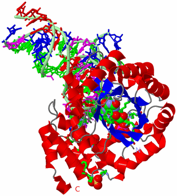 Image Asym./Biol. Unit - sites