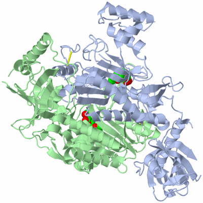 Image Biological Unit 1