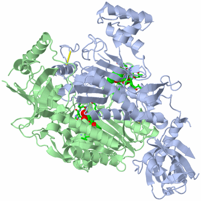 Image Biol. Unit 1 - sites