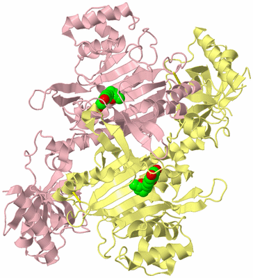 Image Biological Unit 2