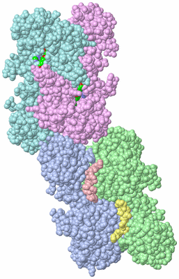 Image Asym. Unit - sites