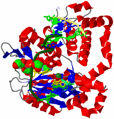 Image Asym./Biol. Unit