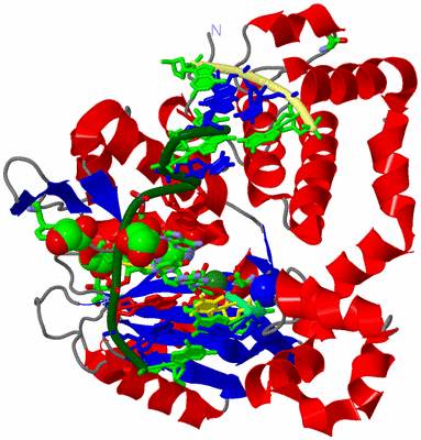 Image Asym./Biol. Unit - sites