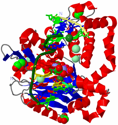 Image Asym./Biol. Unit