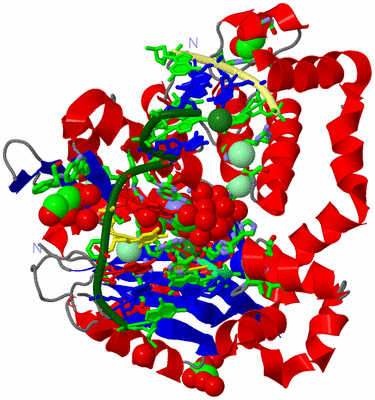 Image Asym./Biol. Unit - sites