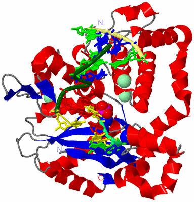 Image Asym./Biol. Unit