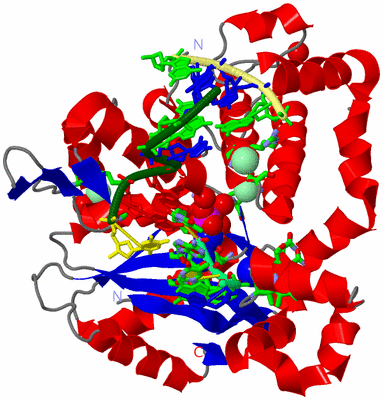 Image Asym./Biol. Unit - sites