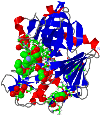 Image Asym./Biol. Unit - sites