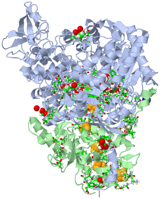 Image Biol. Unit 1 - sites