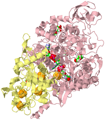 Image Biological Unit 2