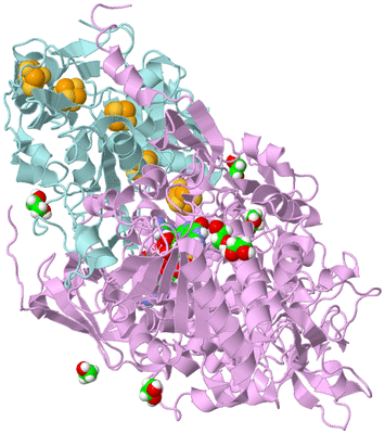 Image Biological Unit 3