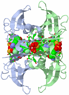 Image Biol. Unit 1 - sites