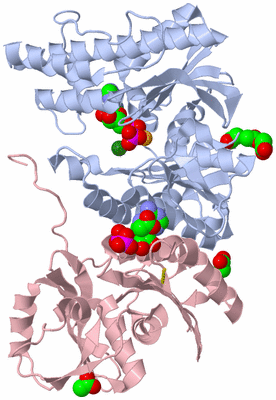 Image Biological Unit 1