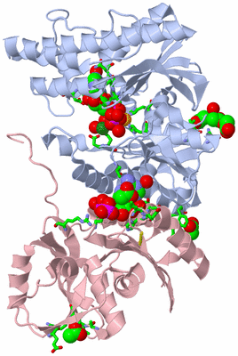 Image Biol. Unit 1 - sites