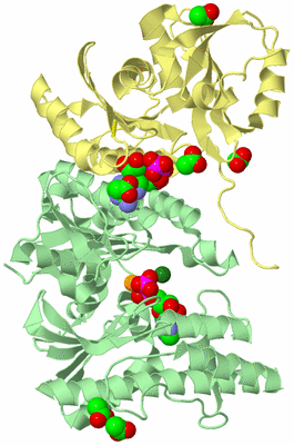 Image Biological Unit 2