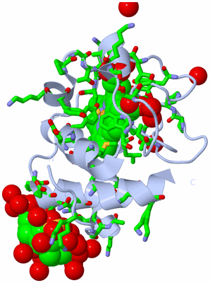 Image Biol. Unit 1 - sites