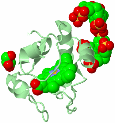 Image Biological Unit 2