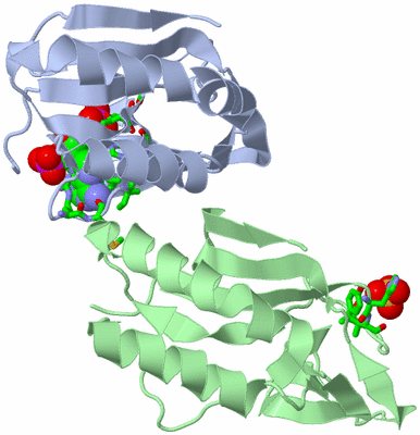 Image Asym. Unit - sites