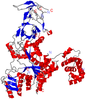 Image Asym./Biol. Unit