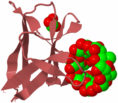 Image Biological Unit 11