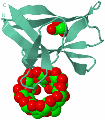 Image Biological Unit 12