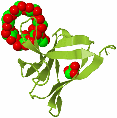 Image Biological Unit 13