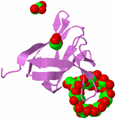 Image Biological Unit 14