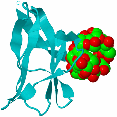 Image Biological Unit 15