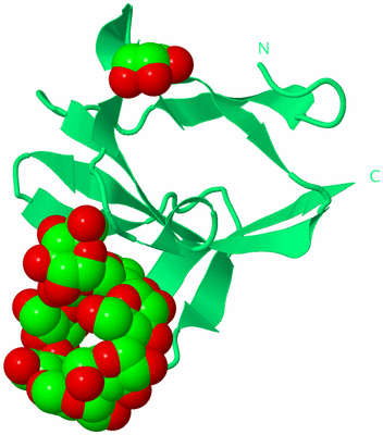 Image Biological Unit 16